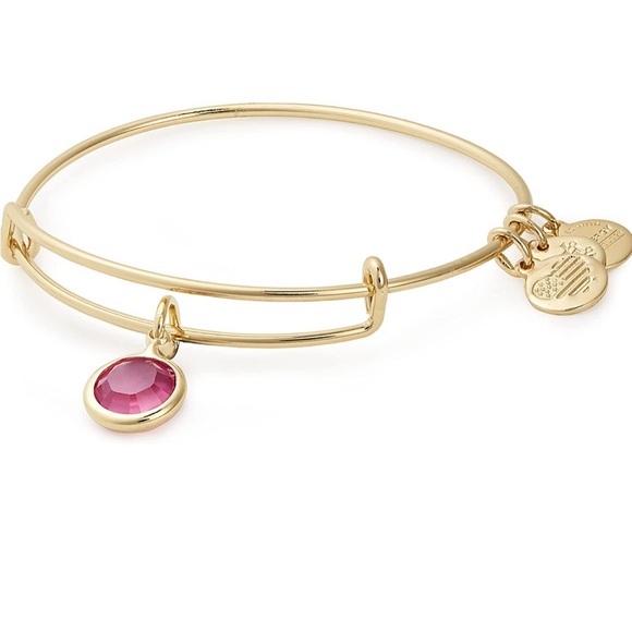 ALEX & ANI Bracelet Set (2 Bracelets) - Picture 2 of 7